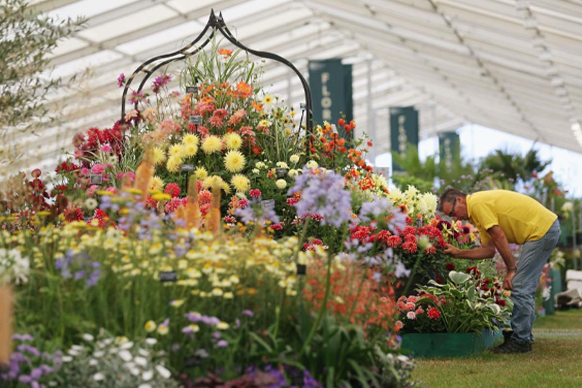 Hampton Court Garden Festival