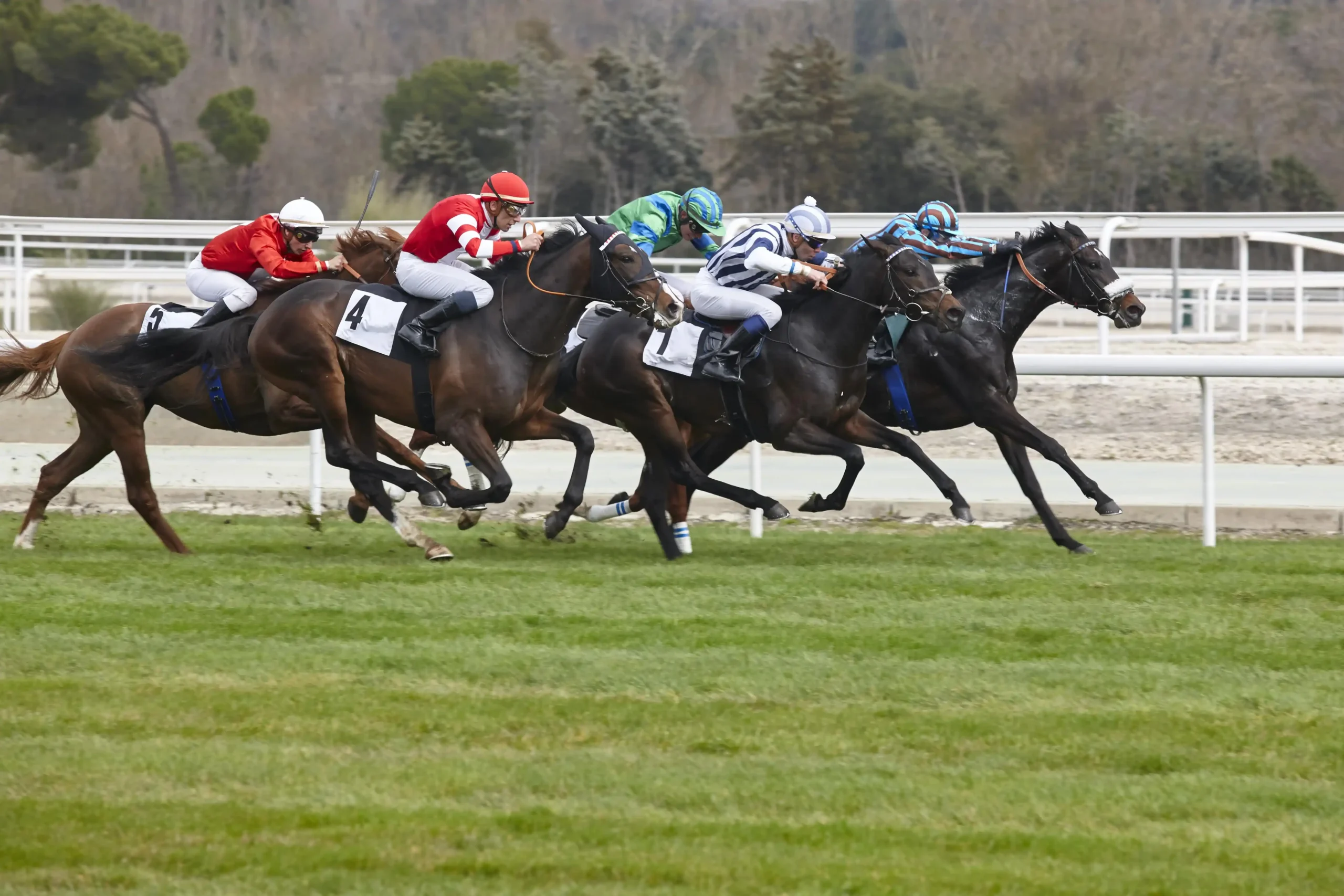 horse-race-final-rush-competition-sport-hippodro-2025-01-27-17-25-35-utc-min_9_11zon
