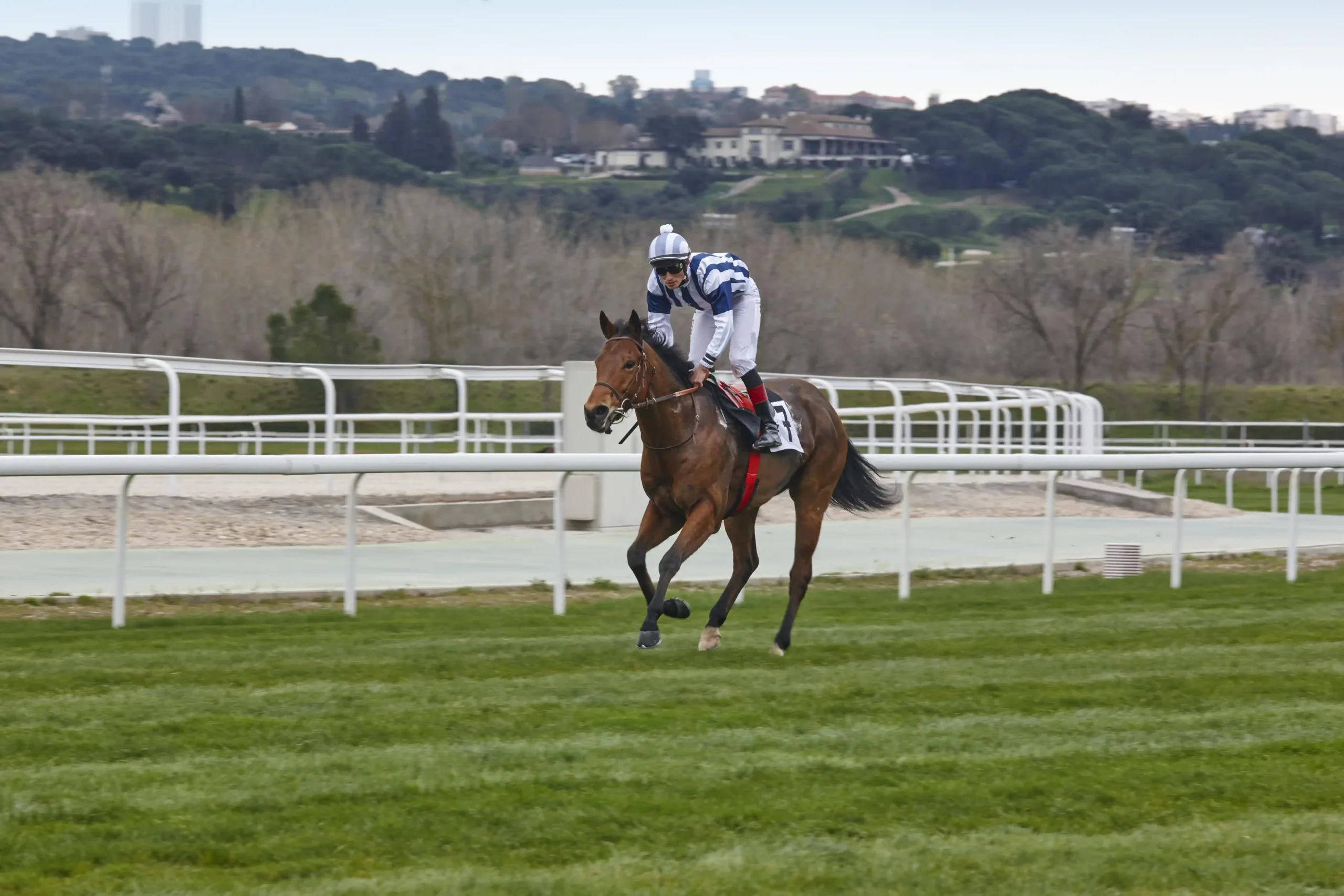 horse-race-training-competition-sport-hippodrome-2025-01-28-00-11-01-utc-min_10_11zon