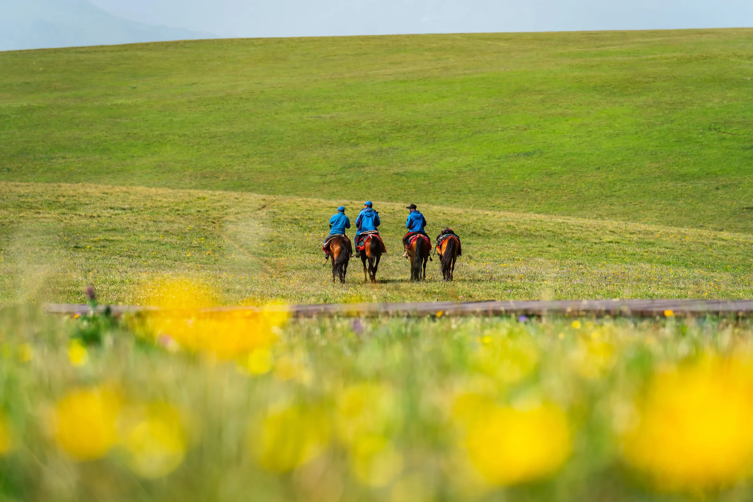 tourist-riding-horses-and-enjoying-beautiful-scene-2025-03-07-18-47-38-utc-min_15_11zon