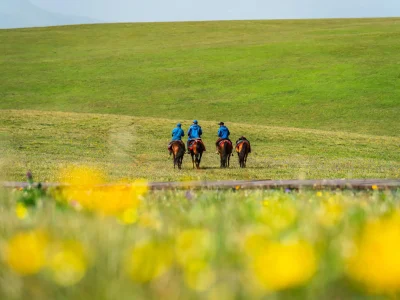 tourist-riding-horses-and-enjoying-beautiful-scene-2025-03-07-18-47-38-utc-min_15_11zon